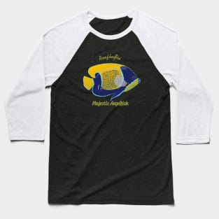 Majestic Angelfish Baseball T-Shirt